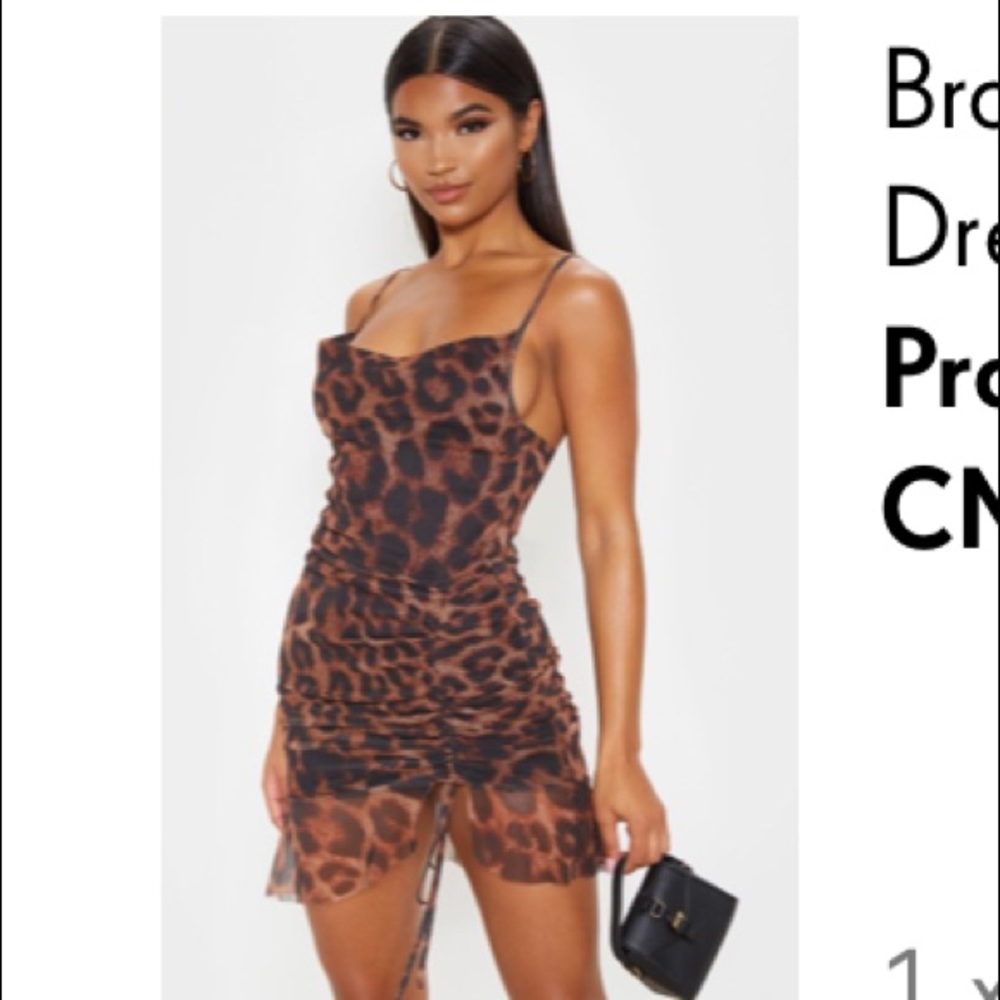 Brown Leopard Print Dress